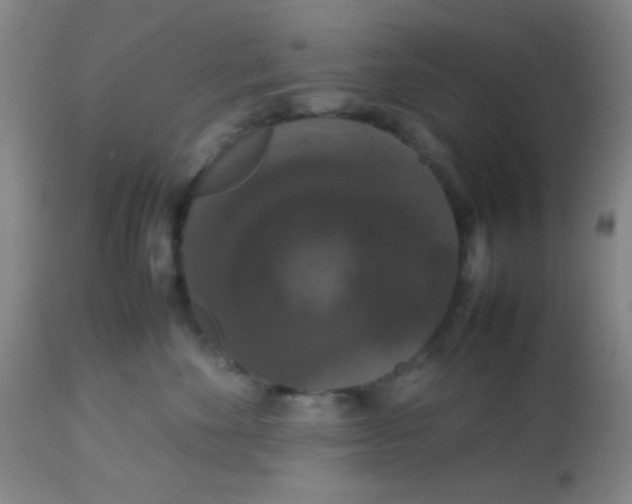 X0000113760524200910211212