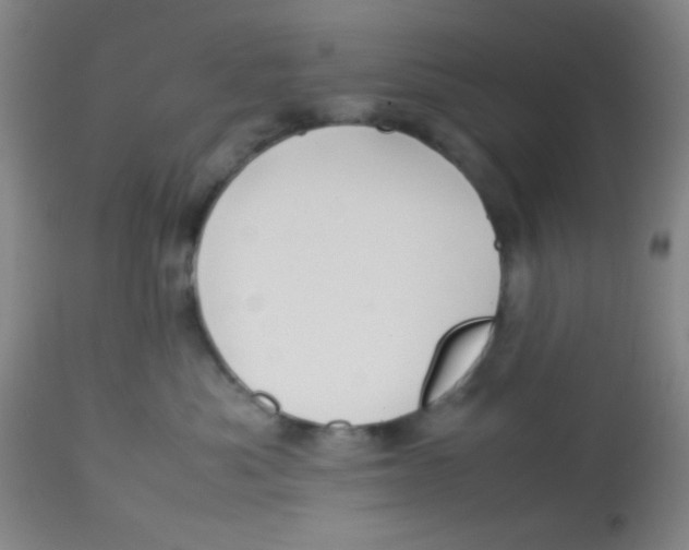 X0000113760525200910211212