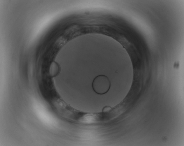 X0000113760526200910211212
