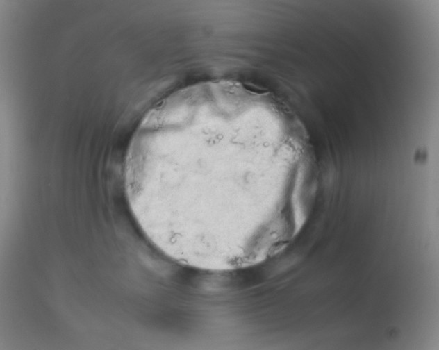 X0000113760527200910211212