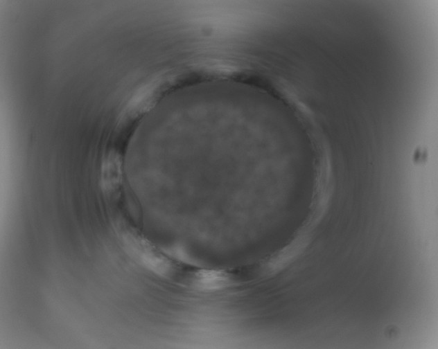 X0000113760528200910211212