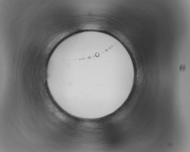 X0000113760529200910211211
