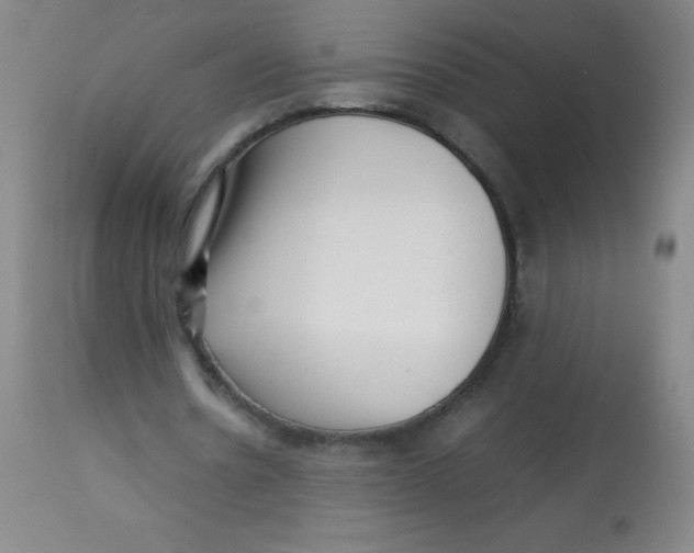 X0000113760530200910211211