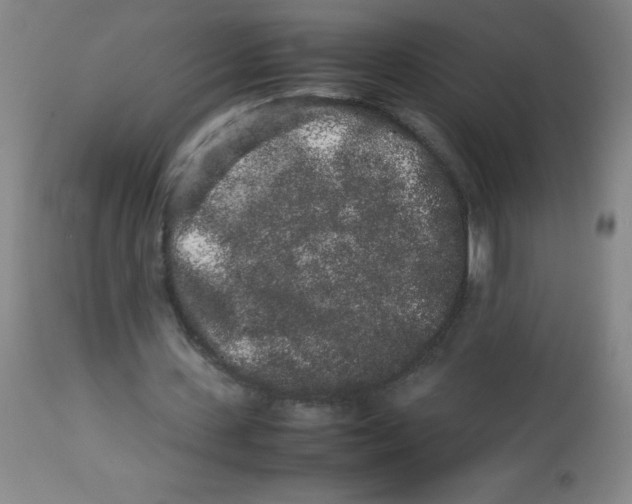 X0000113760531200910211211