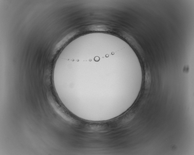 X0000113760533200910211211