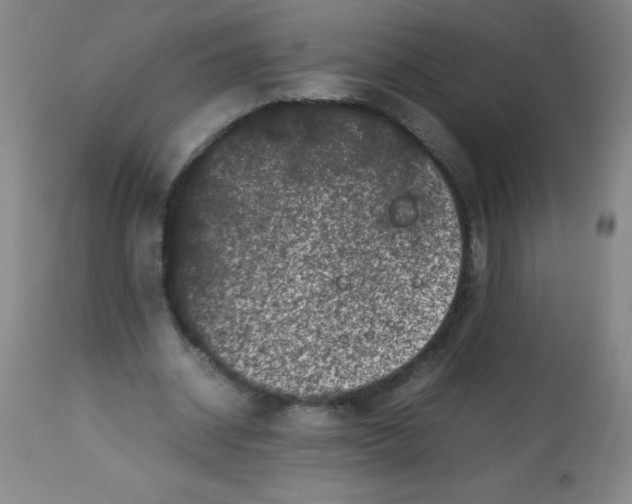 X0000113760534200910211211