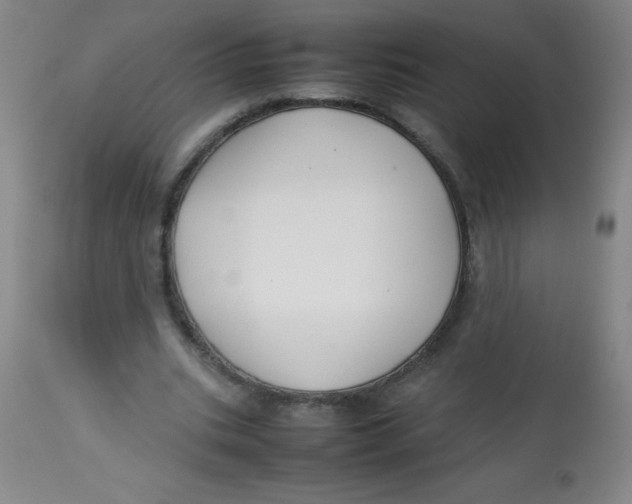 X0000113760535200910211211