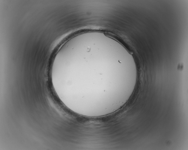 X0000113760536200910211211
