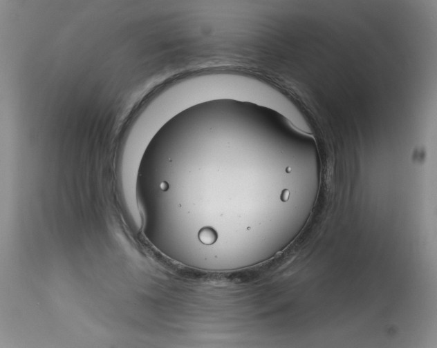 X0000113760540200910211211