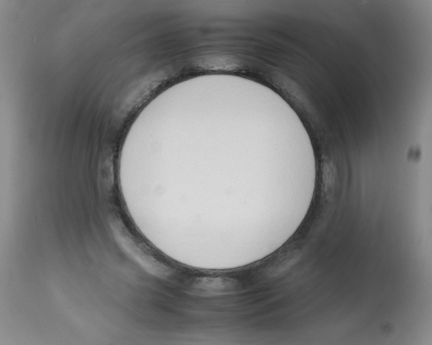 X0000113760541200910211212