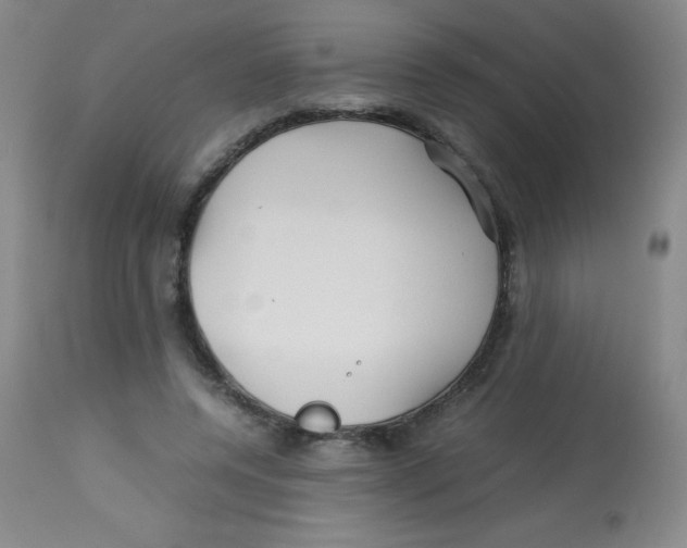 X0000113760544200910211212