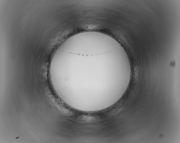 X0000113760545200910211212
