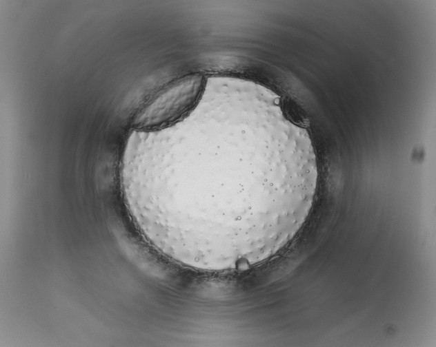 X0000113760546200910211212