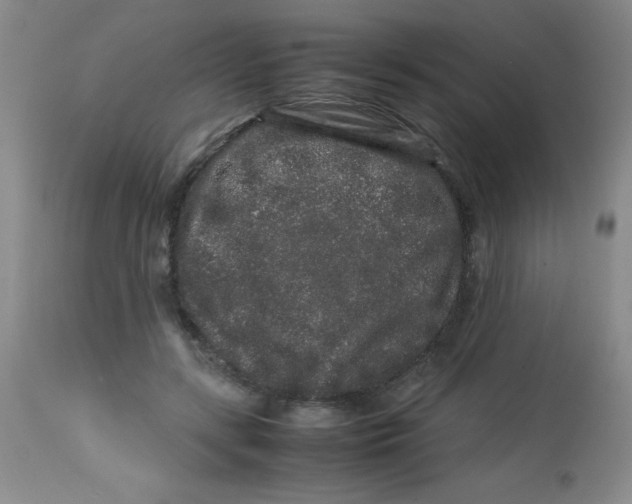 X0000113760547200910211212