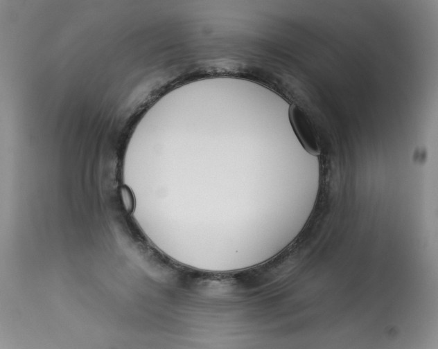 X0000113760548200910211212