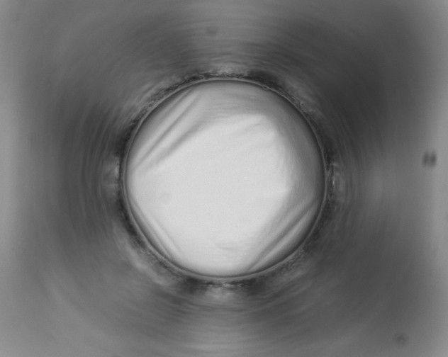 X0000113760550200910211212