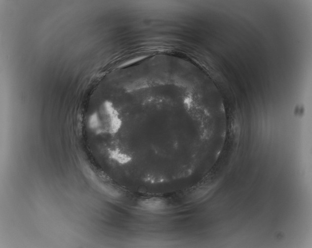 X0000113760551200910211212