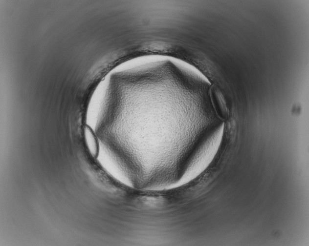 X0000113760552200910211212