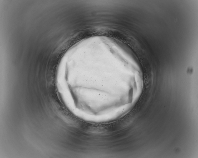 X0000113760553200910211212