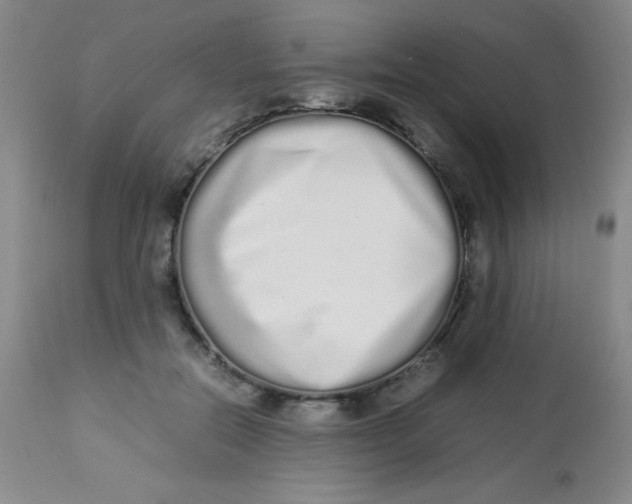 X0000113760554200910211212