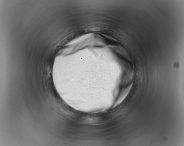 X0000113760555200910211212