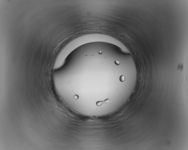X0000113760556200910211212