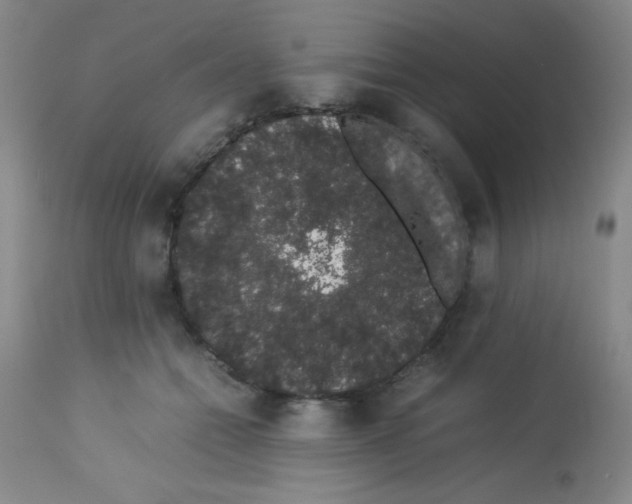 X0000113760558200910211212