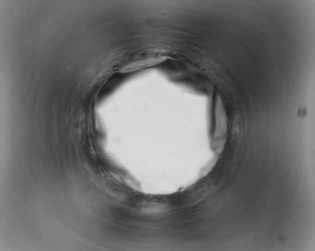 X0000113760559200910211212