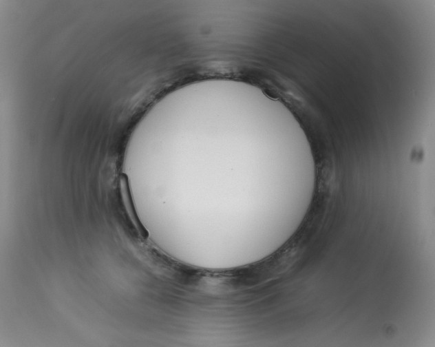 X0000113760560200910211212