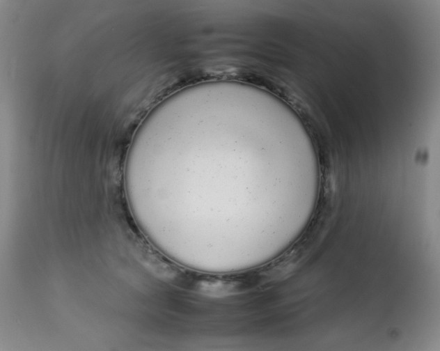X0000113760561200910211212