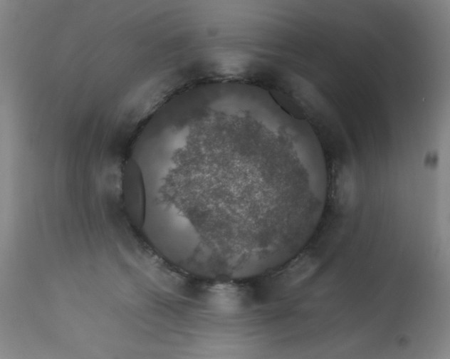 X0000113760562200910211212