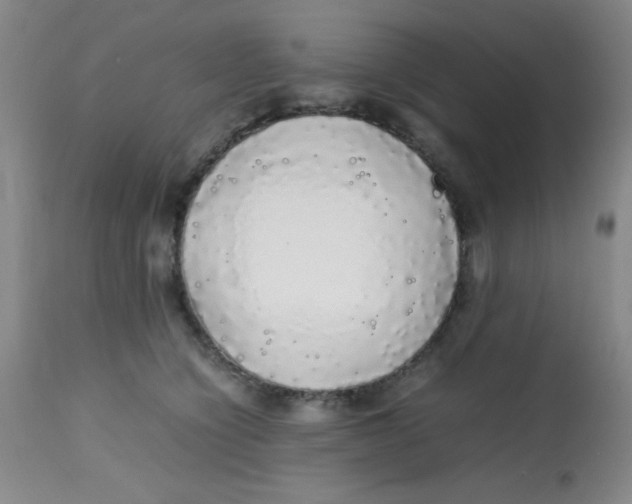 X0000113760564200910211212