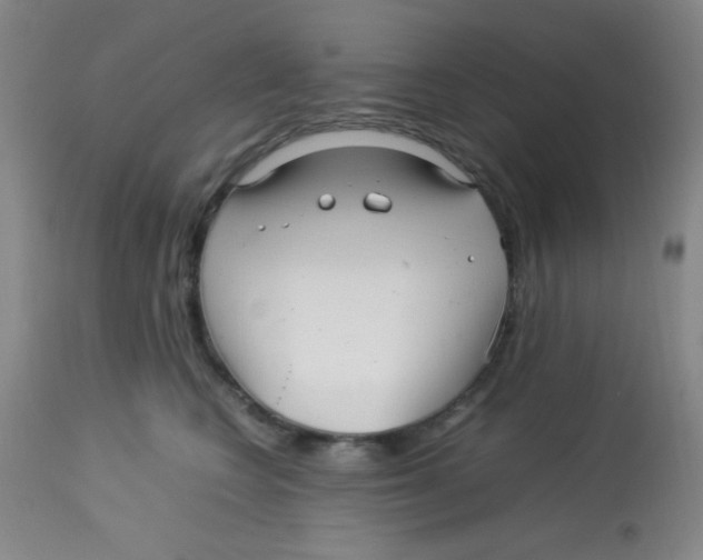 X0000113760566200910211212