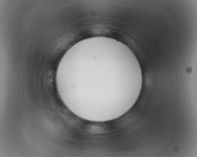 X0000113760567200910211212