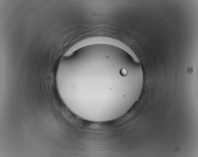 X0000113760568200910211212