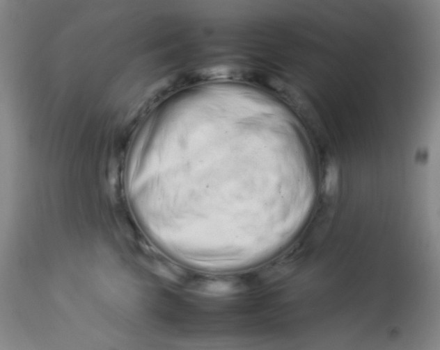 X0000113760569200910211212