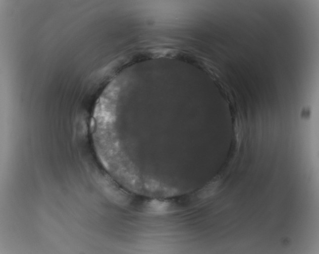 X0000113760570200910211212