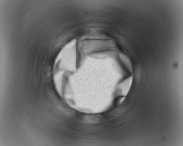 X0000113760571200910211212