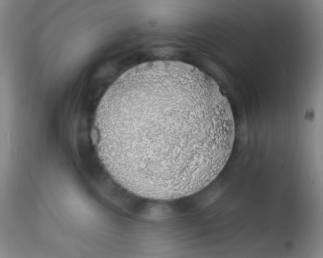 X0000113760572200910211212