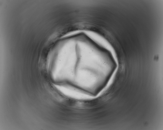 X0000113760573200910211212