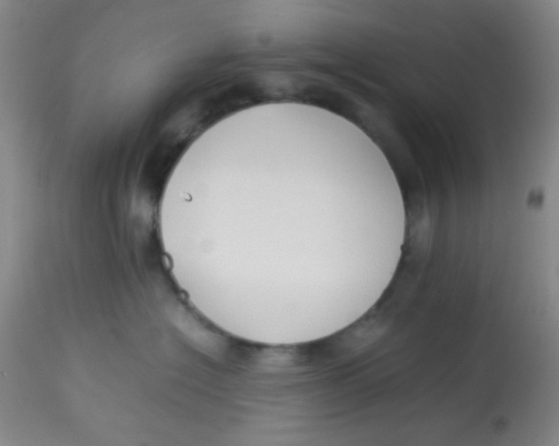X0000113760574200910211212