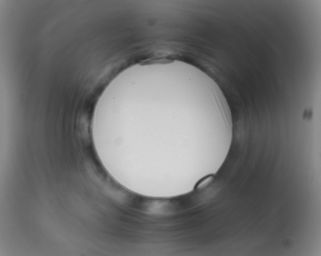 X0000113760575200910211212