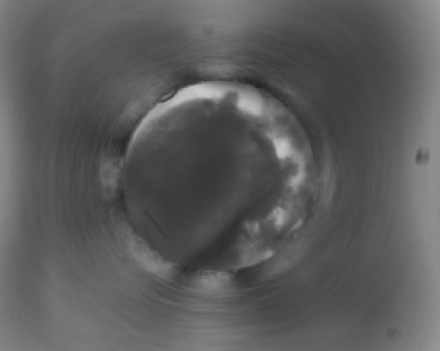 X0000113760576200910211212