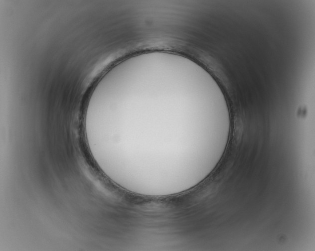 X0000113760578200910211211