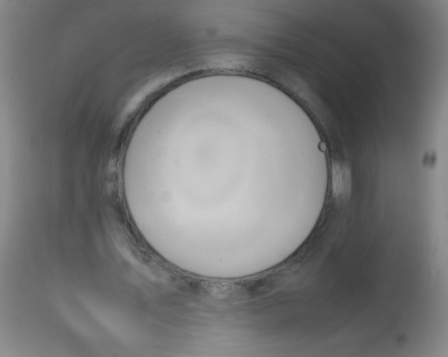 X0000113760579200910211211