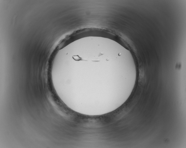 X0000113760580200910211211