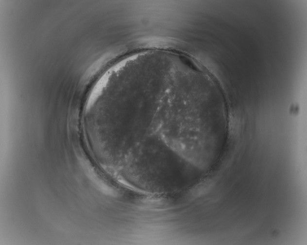 X0000113760581200910211211