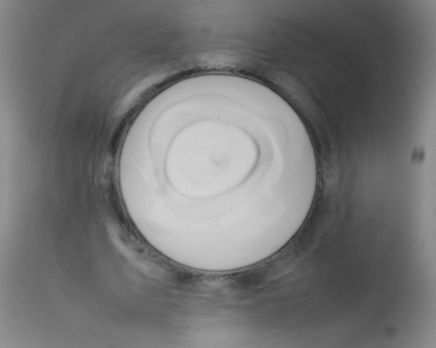 X0000113760583200910211211