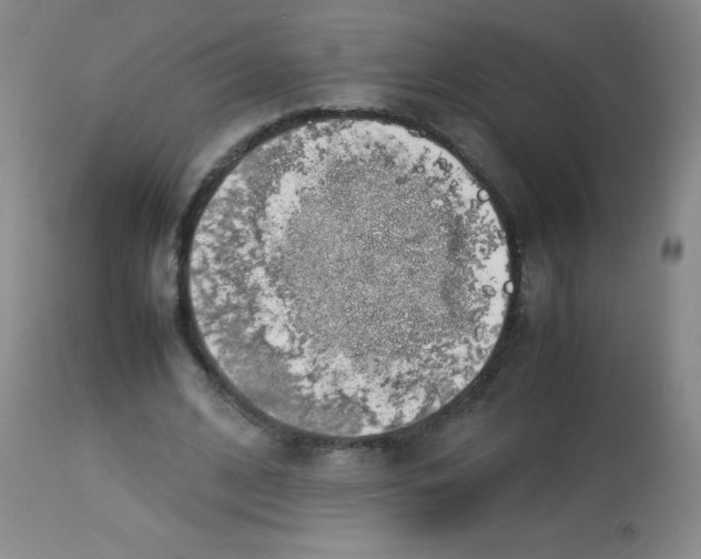 X0000113760584200910211211