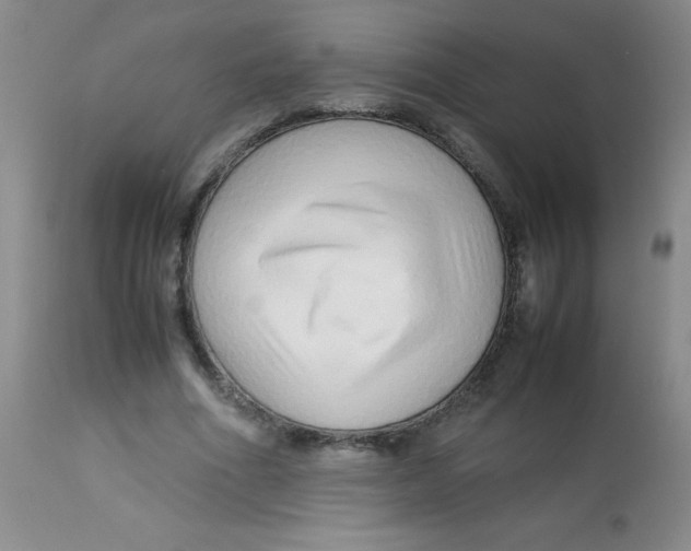 X0000113760586200910211211